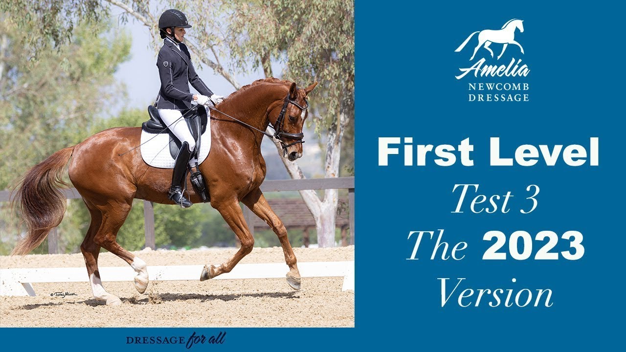USDF First Level Test 3-v.2023