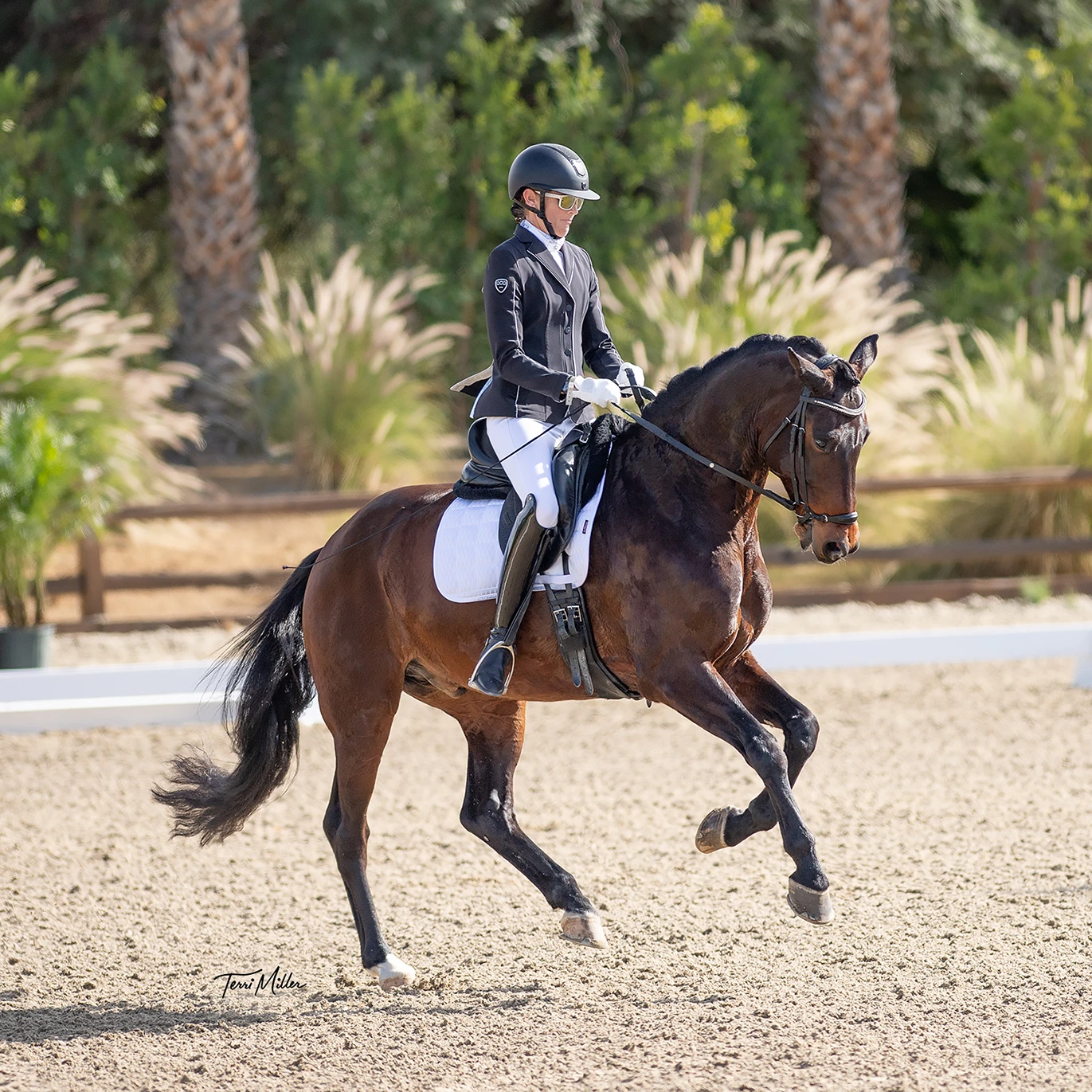 Blue Ribbon - Training Level 1