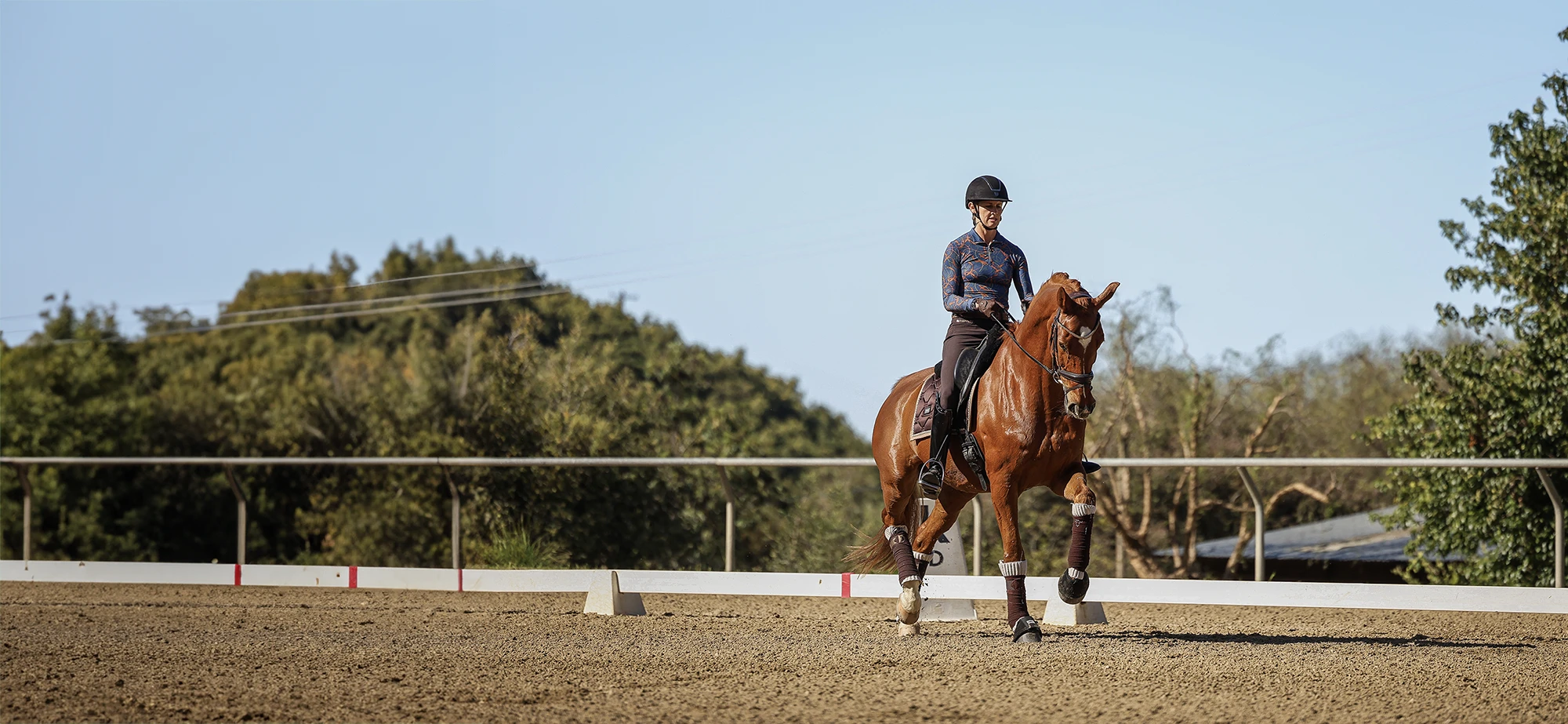 Amelia-Horse-Scale-14-1 Amelia-Horse-Scale-14-1