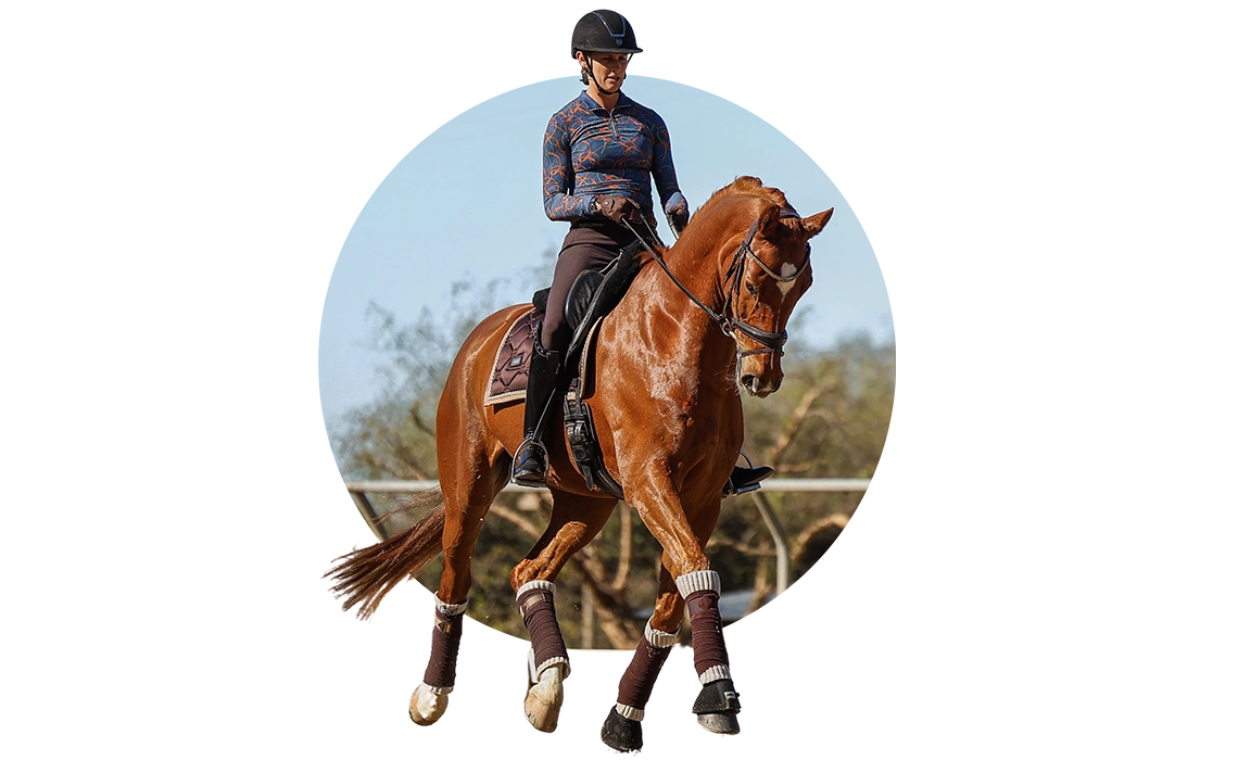Rider improving dressage basics with a horse in the arena