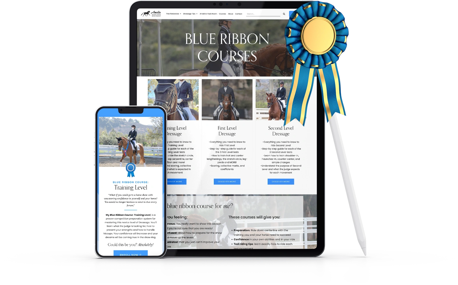 Blue ribbon courses for training dressage