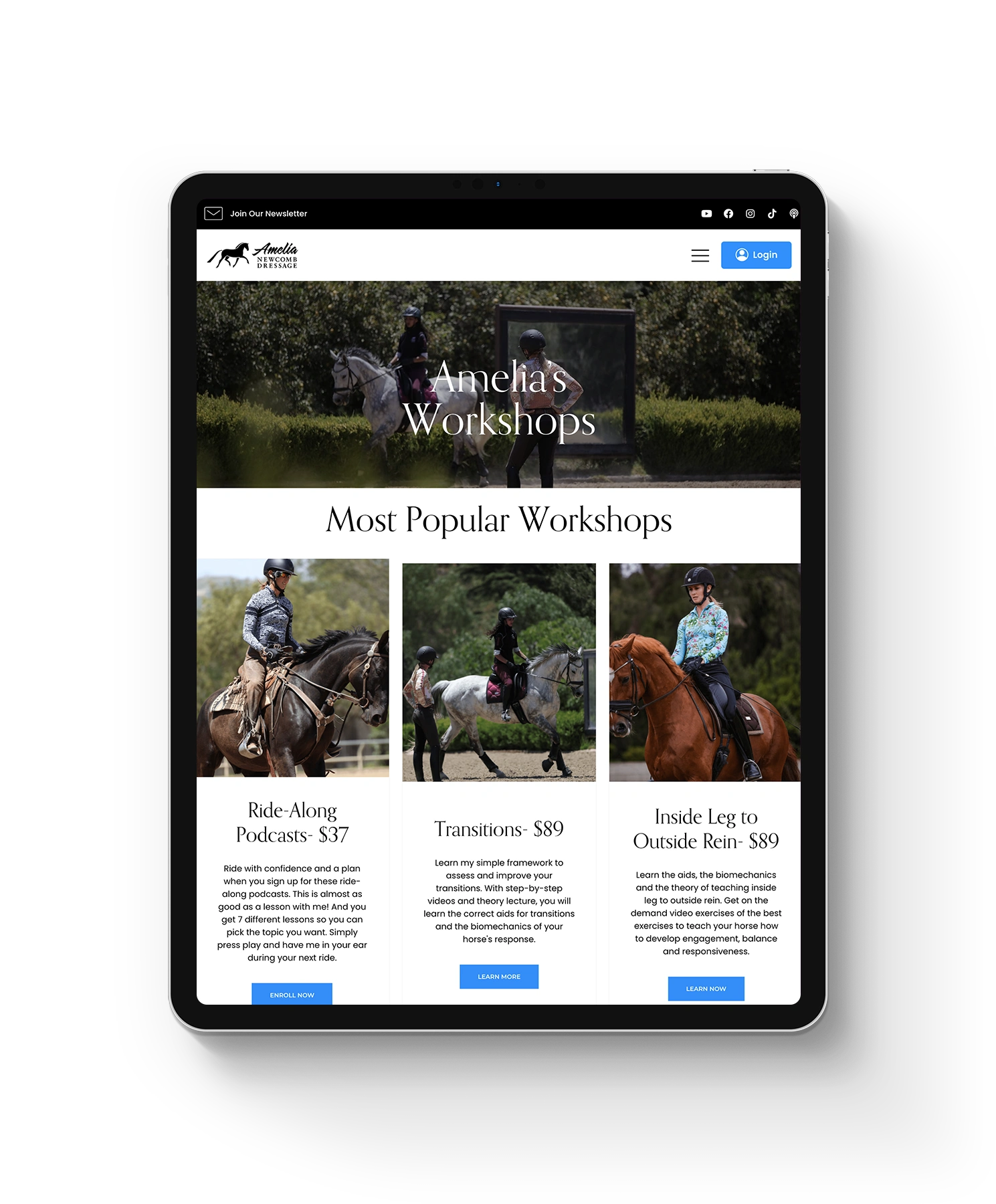 Amelia's most popular workshops for dressage