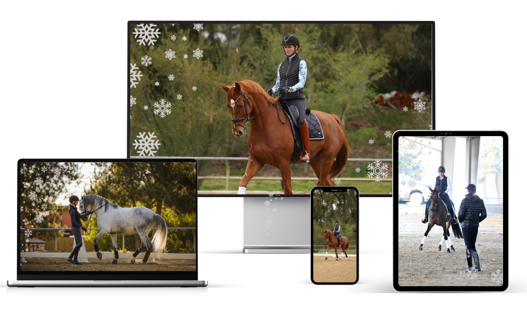 Dressage rider training a bay horse in an outdoor arena on multiple platforms