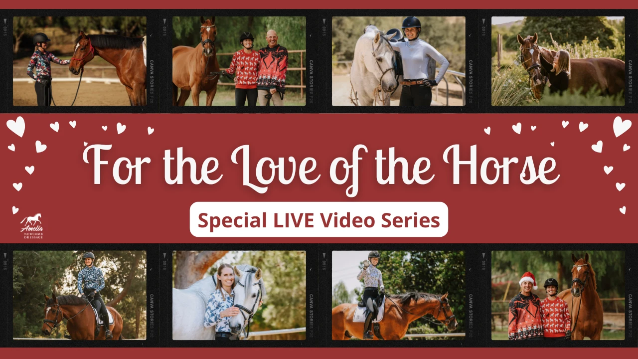 Rewatch Now: You CAN ride Dressage Trivia Night