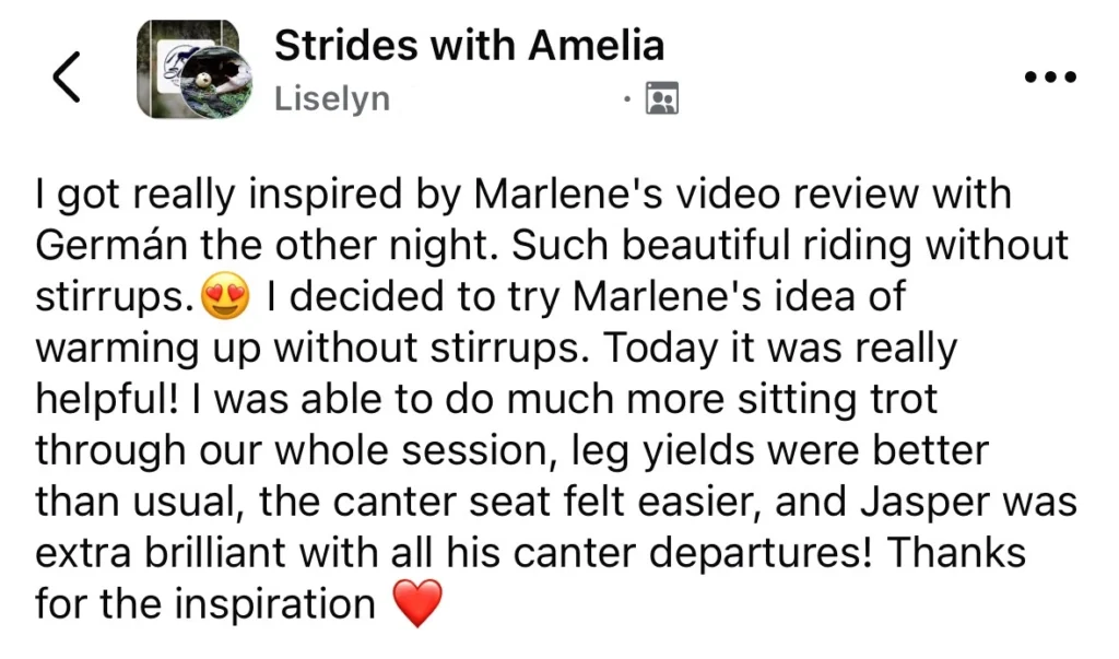 liselyn strides video review