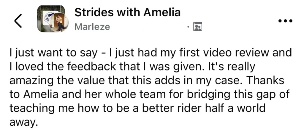 marleze strides video review