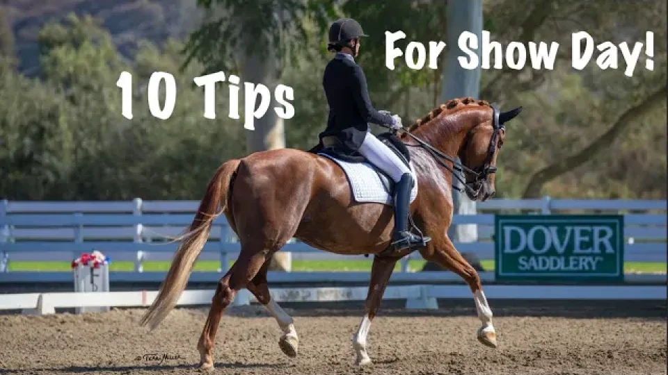 10 tips for show day