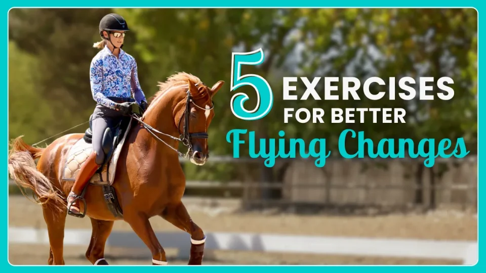 5 exercises flying changes