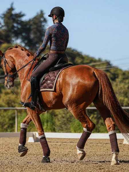 Amelia-Horse-Scale-4-1