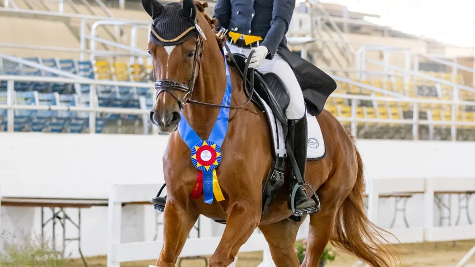 Amelia Newcomb Dressage - New 18
