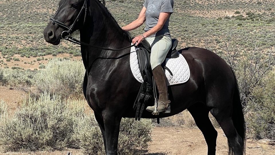 Imke 1st Trail Ride 1