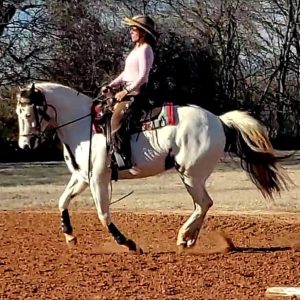 Online student Cindy Kerr