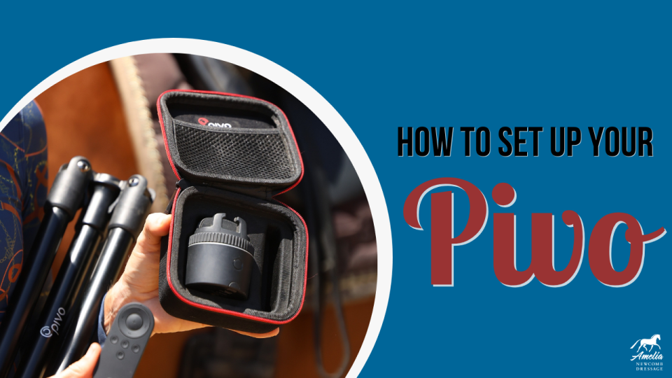 PIVO thumbnail