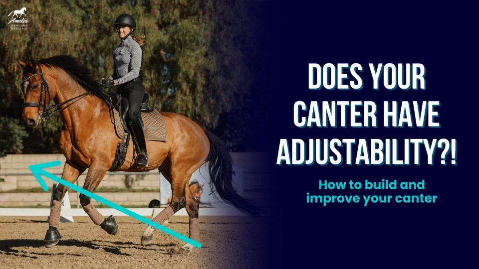 adjust canter A