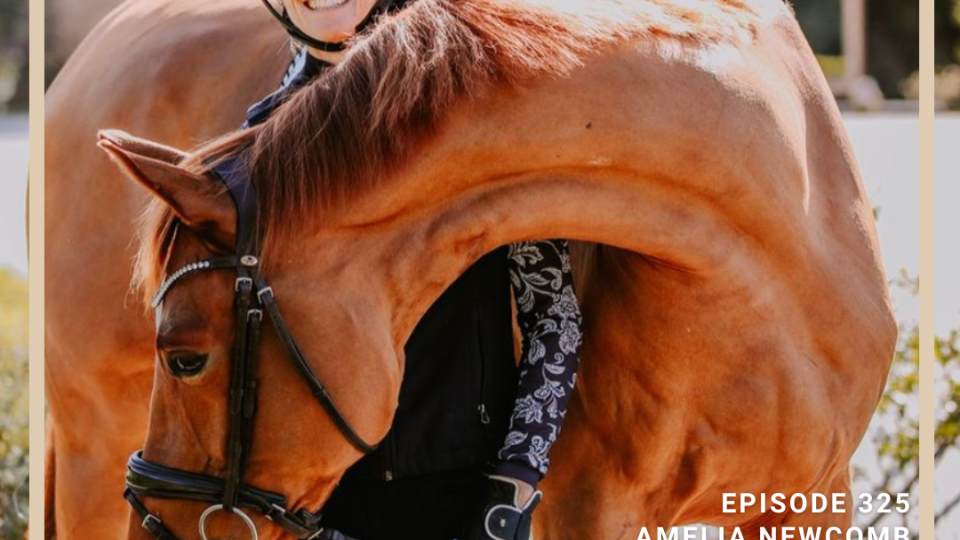 amelia newcomb equestrian podcast
