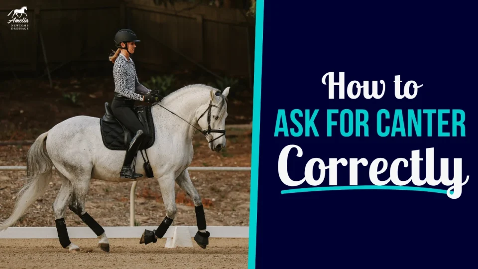ask for canter A