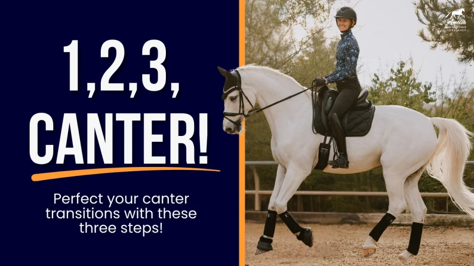 canter 123 A