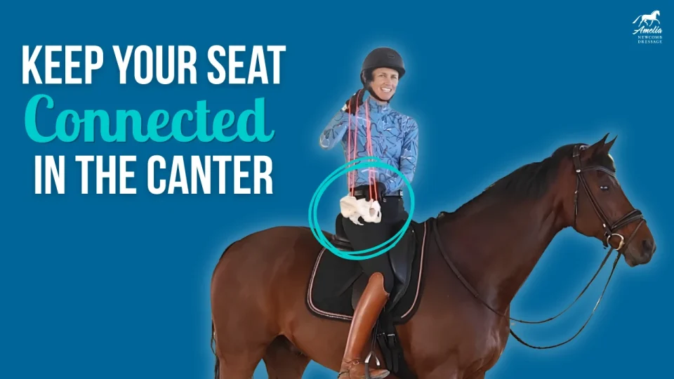 canter seat A