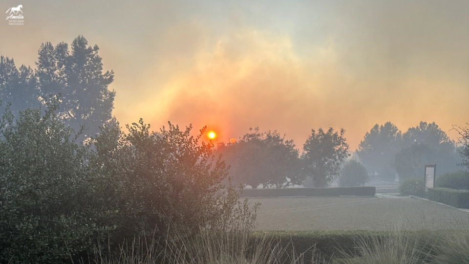 fire update