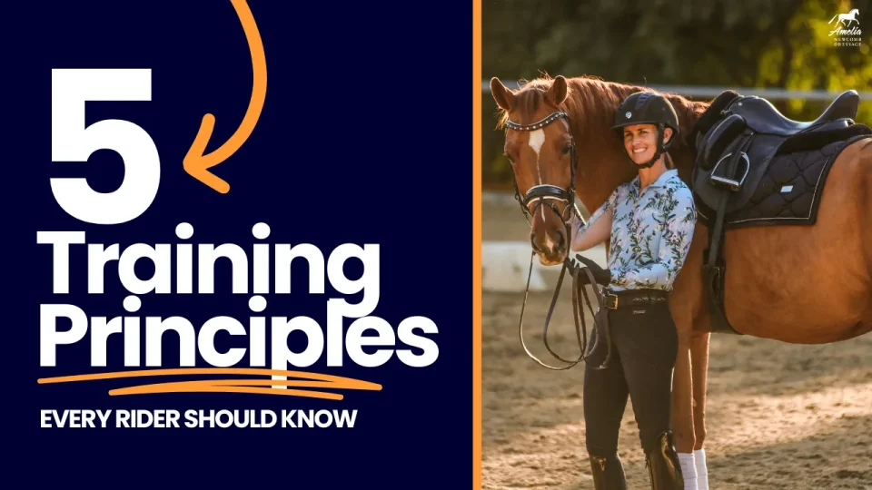 five training principles A (1)