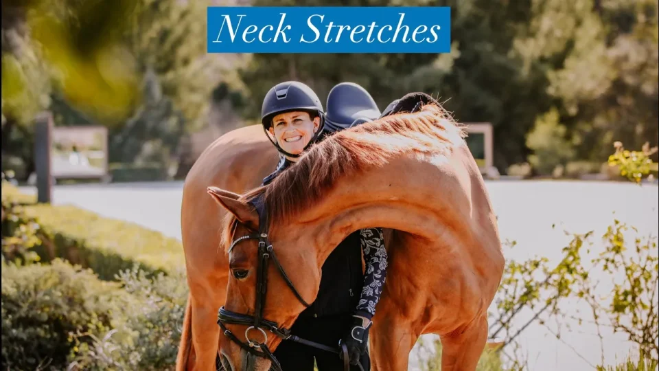 neck stretches