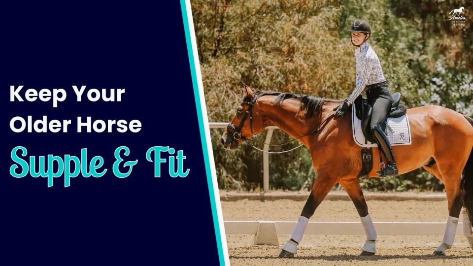 older horse walk exercises A