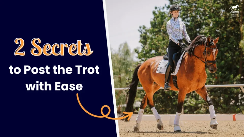 posting trot A