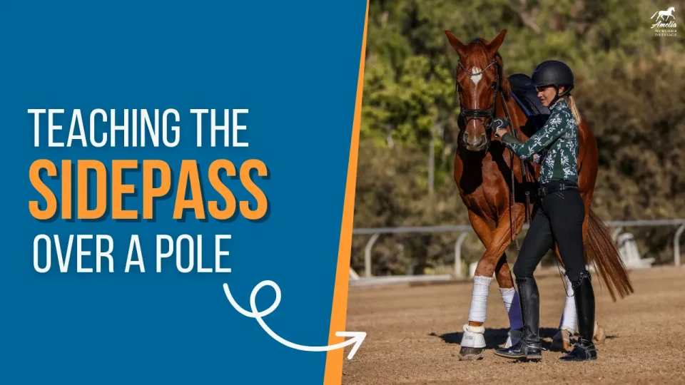 sidepass A (1)