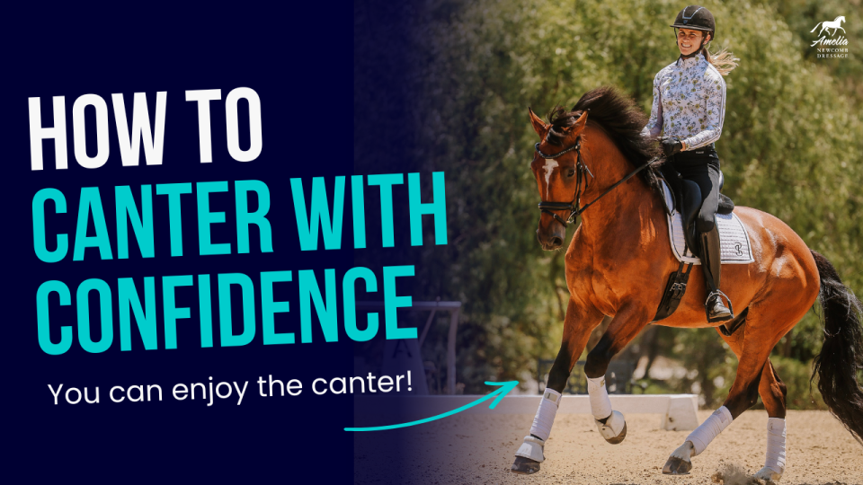 step by step canter A (1)