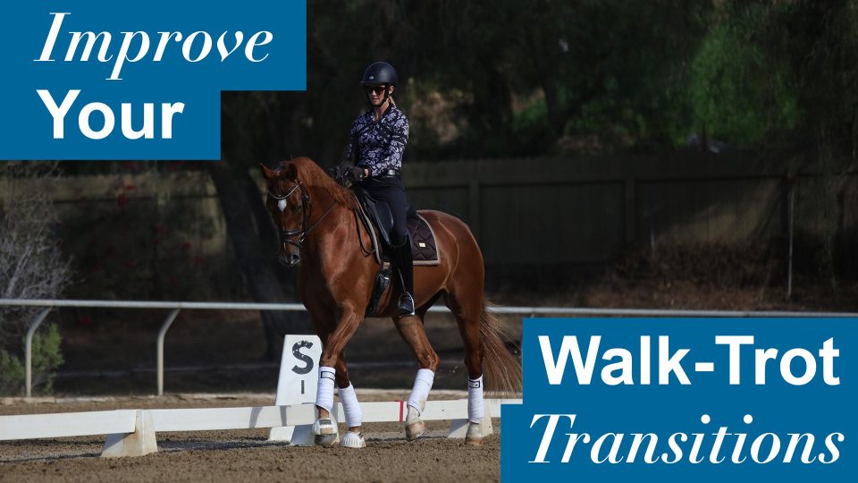 walk trot