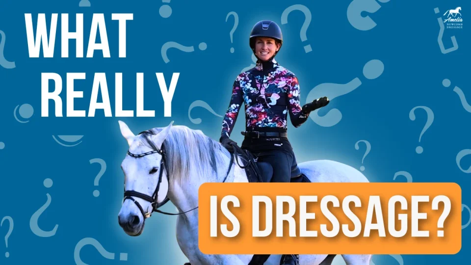 what is dressage A